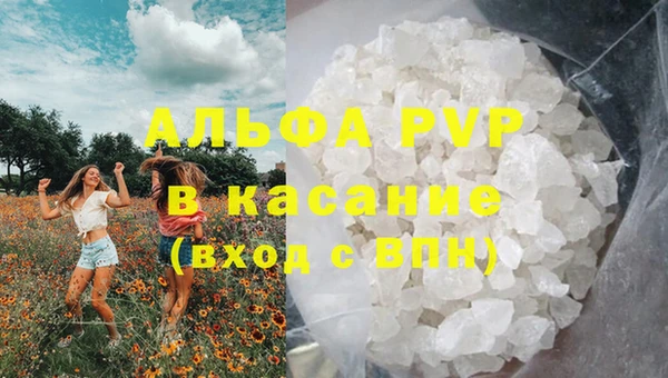 экстази Ельня