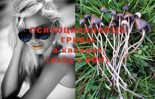 экстази Ельня