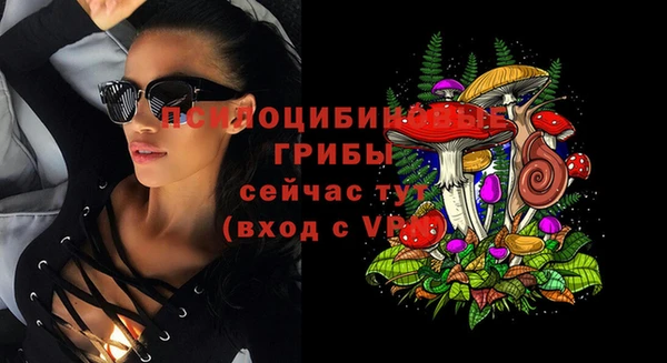 каннабис Елизово