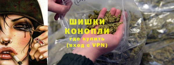 экстази Ельня