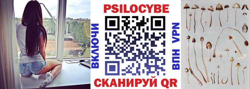 Галлюциногенные грибы мицелий  Купить где  Белинский 